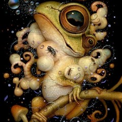 Toad