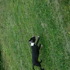 Hot freestyle at Stl