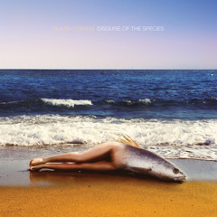 It Won't Be Long Till Dawn