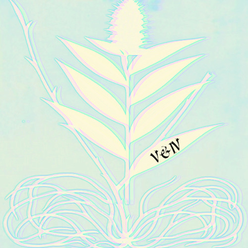 V&IV
