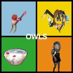 I Want The Quiet Moments Of A Party Girl - Owls