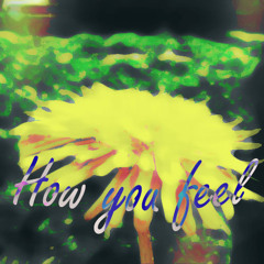 How You Feel