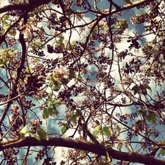 jedes mal ein abschied/freie improvisation