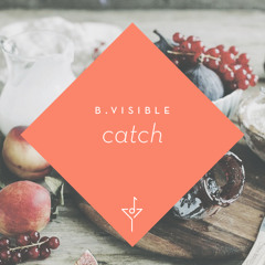 Catch - B.Visible