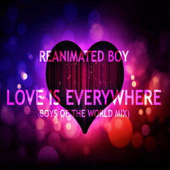 Reanimated Boy - Love Is Everywhere (Boys Of The World Mix)