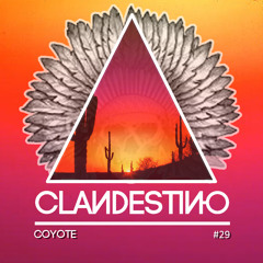 Clandestino 029 - Coyote