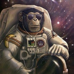 Manuz - MaxiMinimale