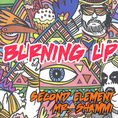 Burning Up (Ft. Mr. Shammi) [FREE DOWNLOAD]