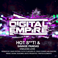 Hot Shit Ft Savage Pandas - Endless Love (Misael Gauna Remix) [Out Now]