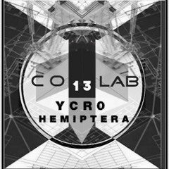 Co Lab 13 - Ycr0 (Ita) & Hemiptera (USA)