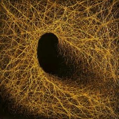 Molecular Dissociation