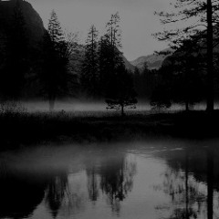 5.24.14 Live at The Big Top Mysteryland