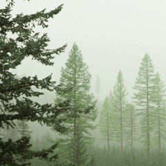 Blackbird Song (cover)