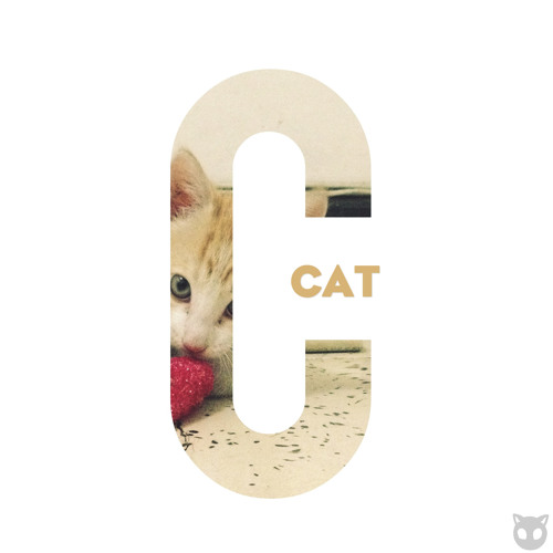 DJ KB - Cat