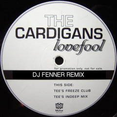 Love Fool (Fenner Bootleg)