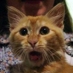 Fanny Pack Full Of Bludd