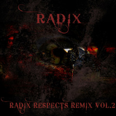 06. The Avengers - Vinnie Paz, Ignito, Celph Titled, Deepflow, Dead`P, Apathy (Radix Remix)