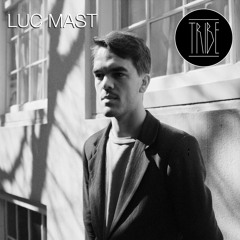 TRIBE MIX - Luc Mast