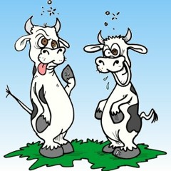 JonEcrash - More SandBell