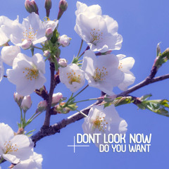 DONT LOOK NOW - Move It Or Lose It