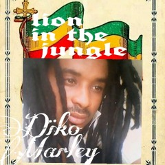 DIKO MARLEY-TIME FE COME HOME