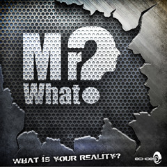 Mr.What?-U Create Your Own Reality