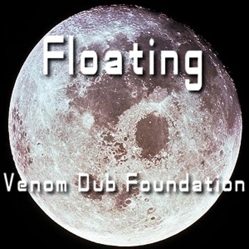 Venom Dub Foundation - Floating (Original Mix)