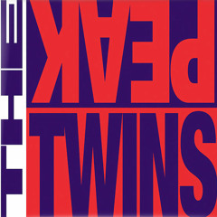 The Peak Twins - Pump Me Up (Ultracity Ocean Dub) - on Dither Down Records