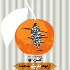 محسن نامجو - نارنگی خراسانی | از پوست نارنگی مدد