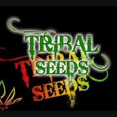 Tribal Seeds The Garden