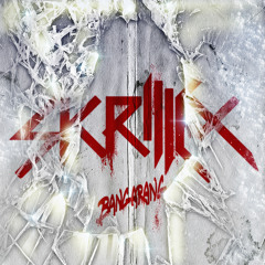 Skrillex & The Doors - Breakn a Sweat