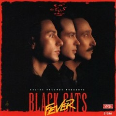Ba To Boodan (Black Cats)