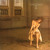 Artwork for In A Small Moment - Carly Simon