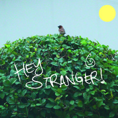 Hey Stranger