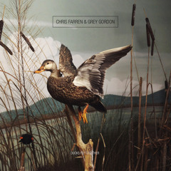 Chris Farren - Eagle Eyes