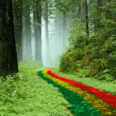 rasta ting