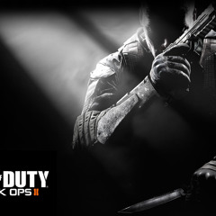Call of Duty Black Ops 2 "Adrenaline"