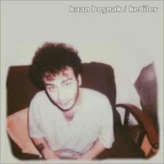 kaan boşnak- kediler