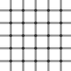 The Vacant Lots 'Before The Evening's Thru'