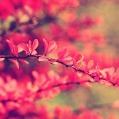 calm/ambient