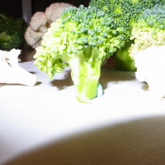 Green Eyes(Erykah Badu)raining version