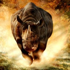 Rhino - [Original Mix]