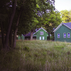 Roses for Darth Vader Summer VCR Session