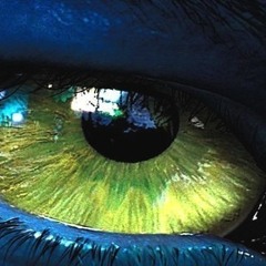 حصــــــريا ديـــمو مزيكا الصـــدمة توزيــــع الزعـــيم 2014