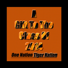 'One Night' (ft. Miracle) (Guilt's 'Time To Shine!' Remix) (One Nation Tiger Nation EP Mix)