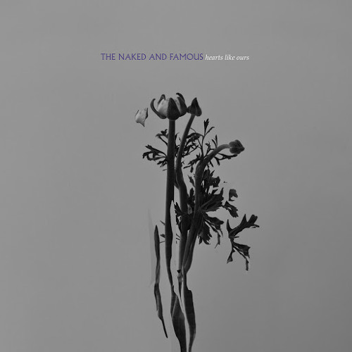 The Naked And Famous - Hearts Like Ours (DJ Sean Novak Extended Mix)