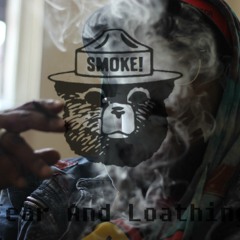 Grizzly Patterns My First Game Boy