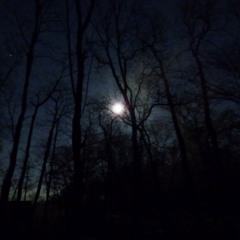 Planetary Movement