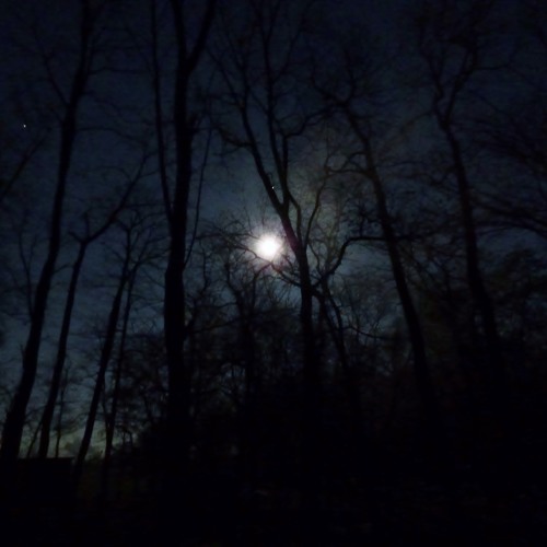 Planetary Movement