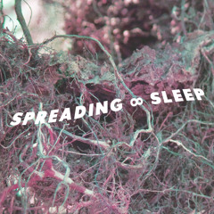 SPREADING ∞ SLEEP